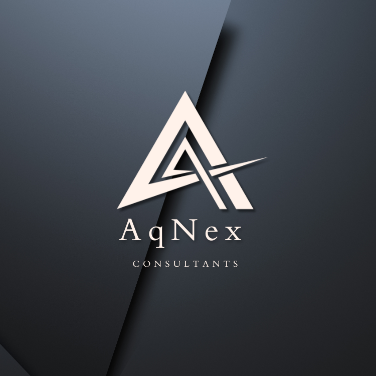 AqNex Consultants